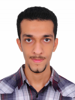 Ahmed M. al-Madhoob